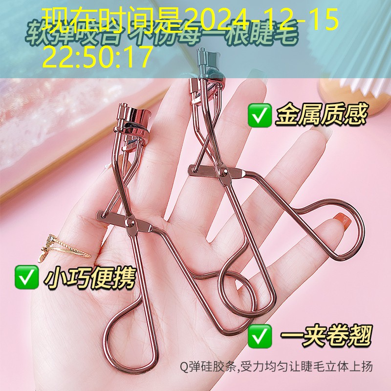 四川银丝草绿化工程用苗